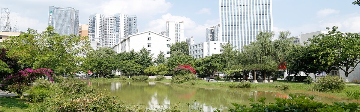 专业技能精湛