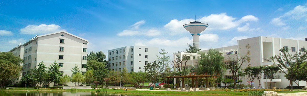 职业素养扎实