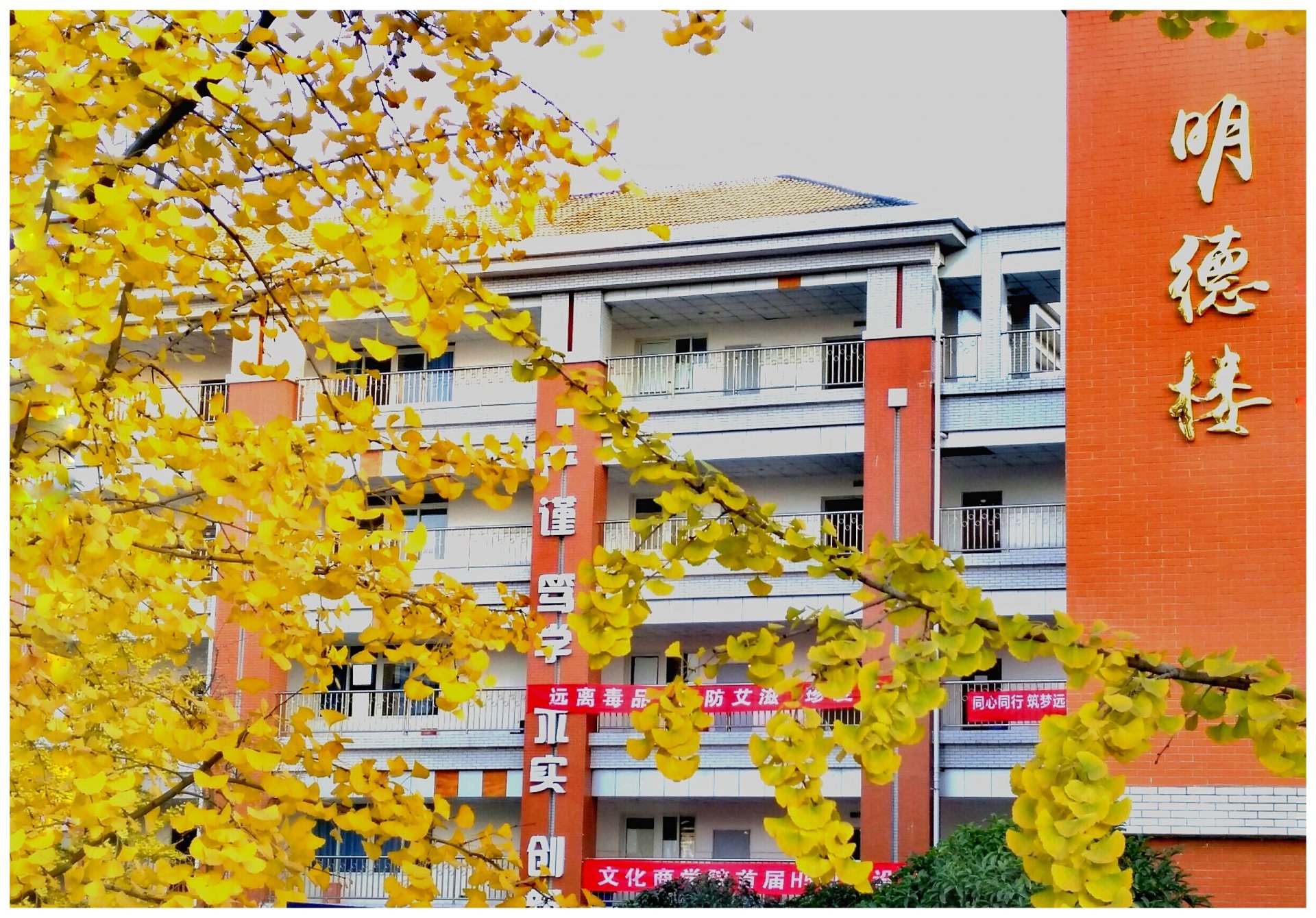 成都市双流区怡心街道锦江路四段399
