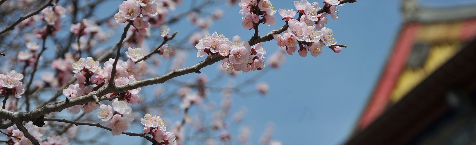 4月13日